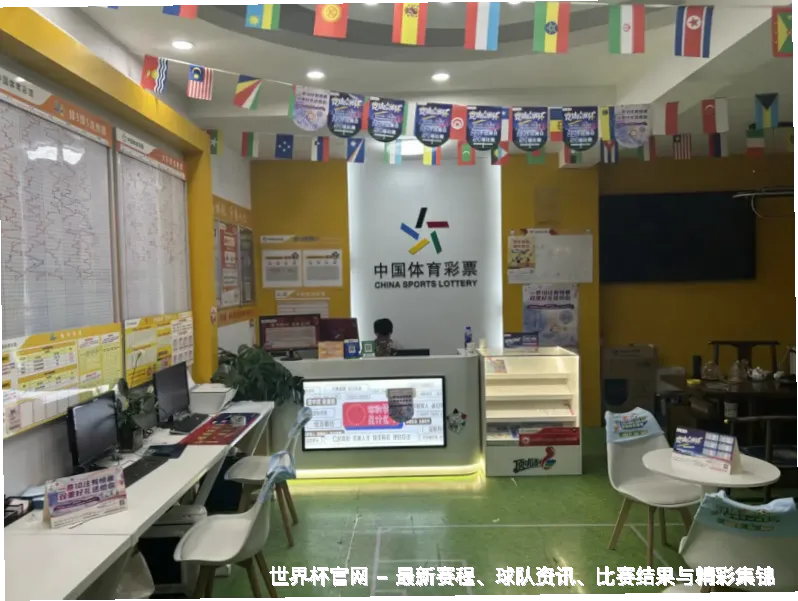 未来愿景与发展方向